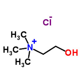 Холин хлорид